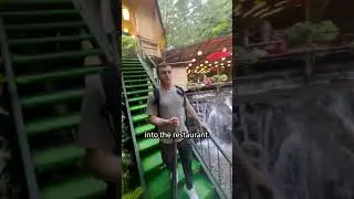 Flowing Noodles - Киото, Япония🇯🇵 #japantravel #япония #japantrip #japanlife #japanshorts #киото