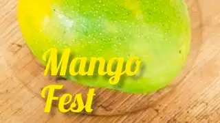 Mango fest 2023* Agriculture College,Padannakad