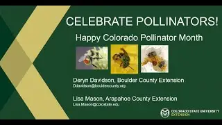 Celebrating Colorado Pollinator Month