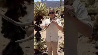 Root Flute