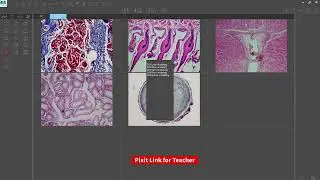 Seamless Microscope Classroom Management: Update Software/APP in Just 1 Minute | WiFiTeaching System