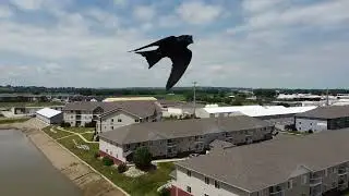 July 2022 drone footage 2