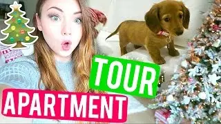 CHRISTMAS APARTMENT TOUR + PUPPY GOES CRAZY | VLOGMAS
