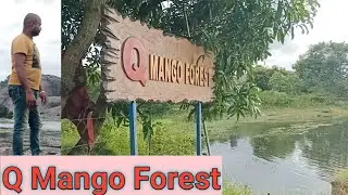 Q Mango Forest | Home Stay |63 kms from Bangalore | Ramanagara Kanakapura Road