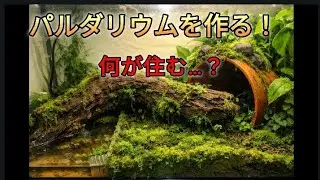 超自然なパルダリウムを作ってみる！
