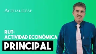 &iquest;C&oacute;mo determinar la actividad econ&oacute;mica principal en el RUT?