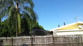 Yasser palomiando con Corria en Cape Coral