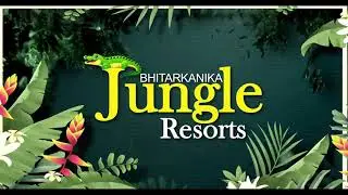 Stay at Bhitarkanika Jungle Resorts | The Amazon of India