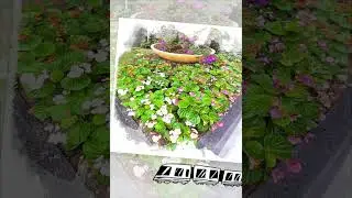 美麗世界，快樂生活