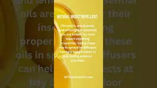 December's Essential Oil Recipe Box is all About Diffusers