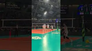 📺 Watch the CEV Champions League Volleyball LIVE on EuroVolley.TV #cev #volleyball #clvolley