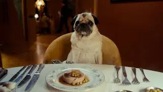 Adm&iacute;telo &middot; La comida de tu perro