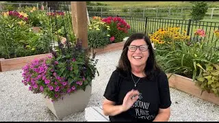 Cottage Garden Story 2024