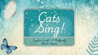 Cats Sing! | A Perfectly Good Heart Taylor Swift Debut FINALE!!!!