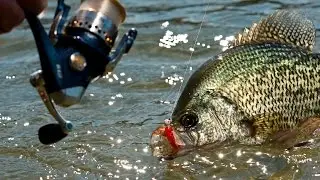 9 Killer Crappie Lakes in the Upper Midwest