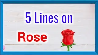 5 lines on Rose flower in english, few sentences about rose flower, About Rose flower