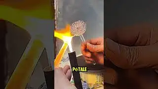 Cet artisan cr&eacute;e de magnifiques fleurs en verre ! #Artisanat #VerreSouffl&eacute; #Fleurs #Cr&eacute;ation #Art