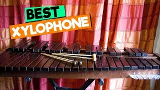 Best Xylophone: Top Picks for Beginners and Pros