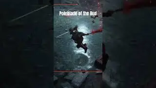 Revenge Tour...NG+ #eldenring #pc #pcgaming #gaming #videogames #videos #ps5 #xbox