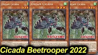 【YuGiOh】CICADA BEETROPER JUNE 2022【YGOPRO】