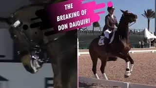 Karen Pavicic: The Breaking of Don Daiquiri
