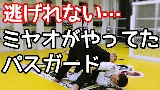 ジョアオがやってたパスガード(ベルトグリップレッグウィーブ)