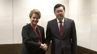 China's FM meets with new BRICS Development Bank president