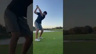 2 Iron Stinger