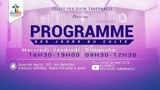 LE CHAINON MANQUANT DANS LA PROPHETIE DU PAPE AMERICAIN  |  R&eacute;v Fortun&eacute;