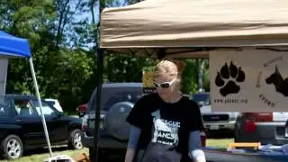 Whisker Walk
