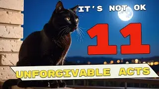 11 Things Cats Never Forgive &mdash; Do THIS Instead Before It&rsquo;s Too Late