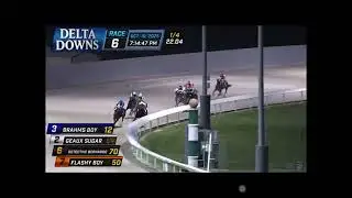 Geaux Sugar- SETS NEW TRACK RECORD AT DELTA DOWNS 10-10-25