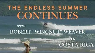 The Endless Summer continues with Robert 