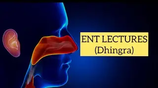 Anatomy of external ear, imp lecture #ent #entlectures #externalear #dhingra 