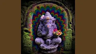 Indian Acid Techno