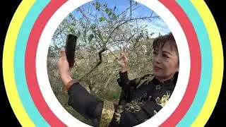 賴家古厝梅花古裝外拍 0113