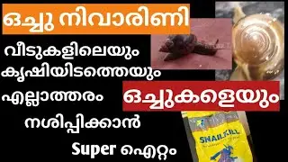 ഒച്ചിനെ തുരത്താൻ Snail Kill/ how to Remove Snail From Home/ Super Clean tips vlog//#Snailcontrol 25/