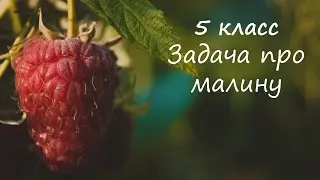5 класс. Решаем задачу от мудрой совы № 141