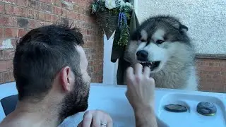 Why Is He Trying To Bite Me??