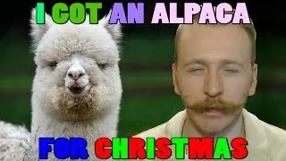 I Got An Alpaca For Christmas! ( Heifer International )
