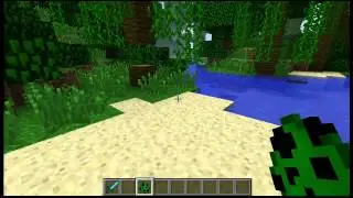 Minecraft bitches!