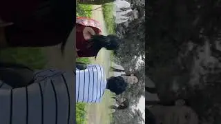 assamese short flim short l adha likha kahini