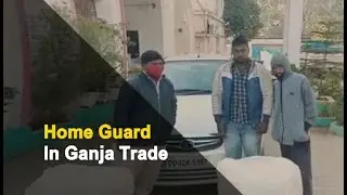 Home Guard Among 3 Arrested For Ganja Smuggling In Odisha | OTV News