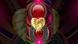 #pathofpeace #islamicshorts #deenvibes