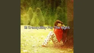 Find Sleep Through Tranquility