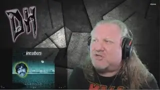 Incubus - Idiot Box REACTION & REVIEW! FIRST TIME HEARING!