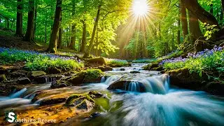 Soothing, relaxing music for stress relief and mental healing