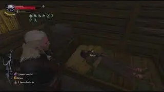 The Witcher 3: returning to the hermit hut after finishing the quest