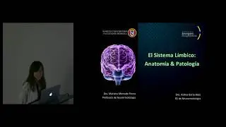El Sistema Límbico: Anatomía & Patología. Dra. Azalea Garza Báez.