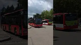 Bus7️⃣2️⃣0️⃣8️⃣Bad Krozingen🇩🇪#linienbus #autobus #busspotting #travel #s&uuml;dbadenbus #&ouml;v #shorts #yt